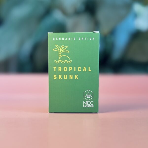 Tropical Skunk